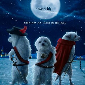 Bilder Die Drei Hundketiere retten Weihnachten