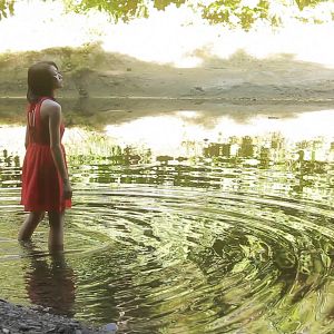 Bilder Au revoir l'été