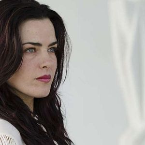 Bilder A Floresta Que Se Move