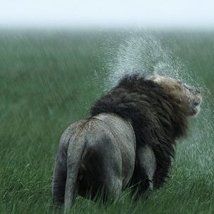 Bilder Afrika - Das magische Königreich