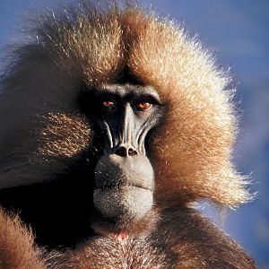 Bilder Afrika - Das magische Königreich