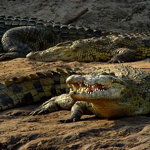 Bilder Afrika - Das magische Königreich