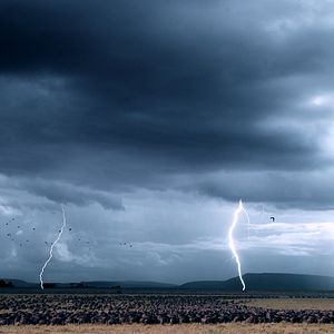 Bilder Afrika - Das magische Königreich