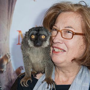 Bilder Insel der Lemuren - Madagascar