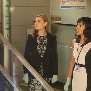 Bilder Tamara Taylor