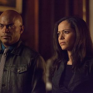 Bilder Andrew Stewart-Jones