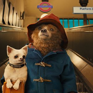 Bilder Paddington