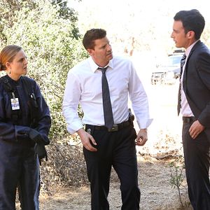 Bilder David Boreanaz