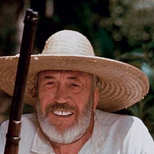 Bilder The Bridge in the Jungle