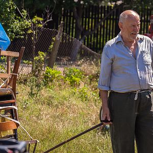 Bilder Câinele Japonez