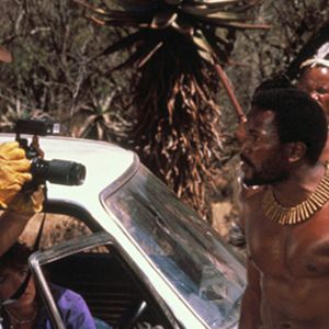 Bilder Eine irre Safari