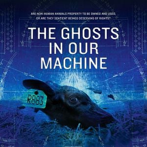 Bilder The Ghosts in our Machine