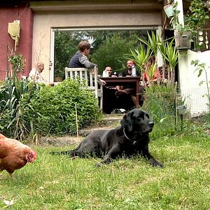 Bilder Bavaria Vista Club - Vol.1: Musikergeschichten aus Oberbayern