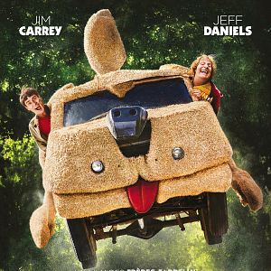 Bilder Dumm und Dümmehr