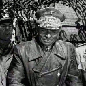 Bilder Die Wüstenratten