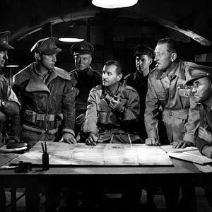 Bilder Die Wüstenratten