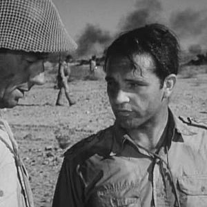 Bilder Die Wüstenratten