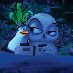 Bilder Die Pinguine aus Madagascar