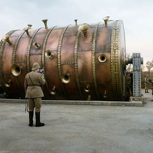 Bilder Eine Taube sitzt auf einem Zweig und denkt über das Leben nach