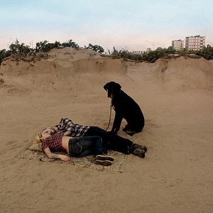 Bilder Eine Taube sitzt auf einem Zweig und denkt über das Leben nach