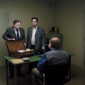 Bilder Eine Taube sitzt auf einem Zweig und denkt über das Leben nach