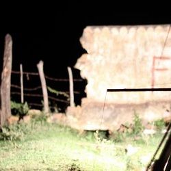 Bilder A Doce Flauta de Liberdade