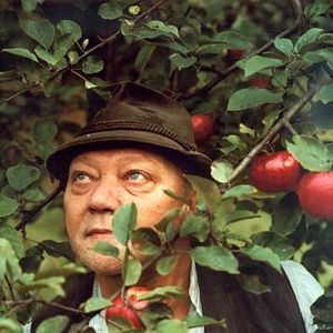 Bilder Das Wildschwein ist los