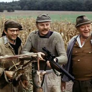 Bilder Das Wildschwein ist los