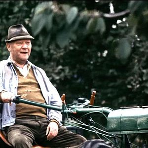 Bilder Das Wildschwein ist los