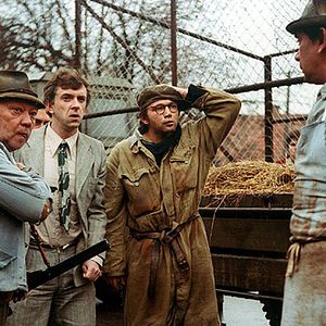 Bilder Das Wildschwein ist los