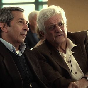 Bilder Brahmin Bulls