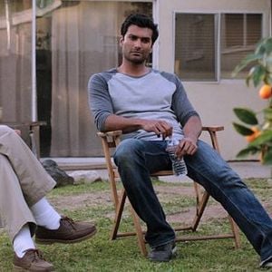 Bilder Brahmin Bulls