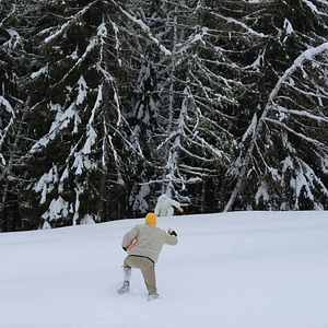 Bilder Chiedilo a Keinwunder (Ask Keinwunder)