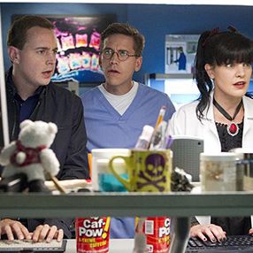 Bilder Pauley Perrette