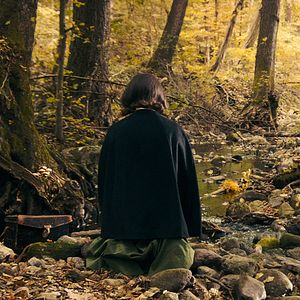 Bilder The Duke Of Burgundy