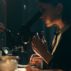 Bilder The Duke Of Burgundy