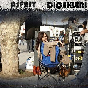 Bilder Asfalt Çiçekleri