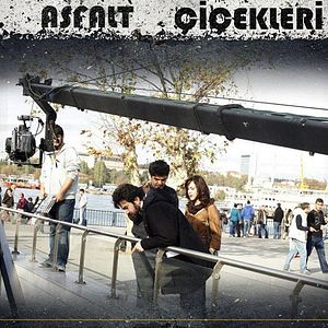 Bilder Asfalt Çiçekleri
