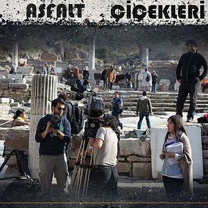 Bilder Asfalt Çiçekleri