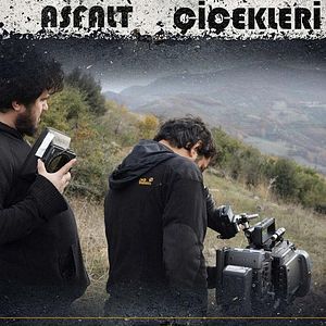 Bilder Asfalt Çiçekleri