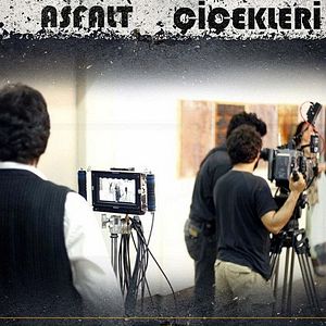 Bilder Asfalt Çiçekleri