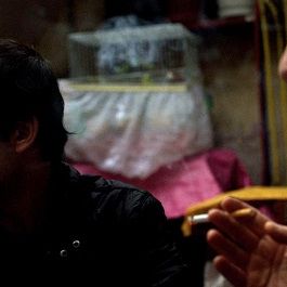 Bilder Asfalt Çiçekleri