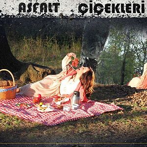 Bilder Asfalt Çiçekleri