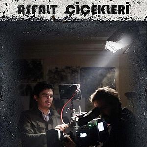 Bilder Asfalt Çiçekleri