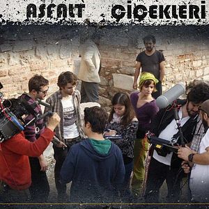 Bilder Asfalt Çiçekleri