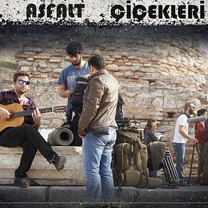 Bilder Asfalt Çiçekleri