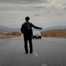 Bilder Asfalt Çiçekleri