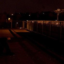 Bilder Asfalt Çiçekleri