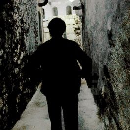 Bilder Asfalt Çiçekleri