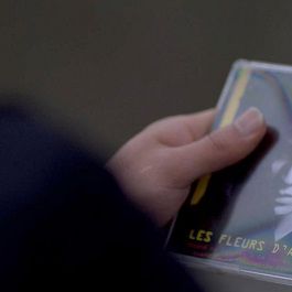 Bilder Asfalt Çiçekleri